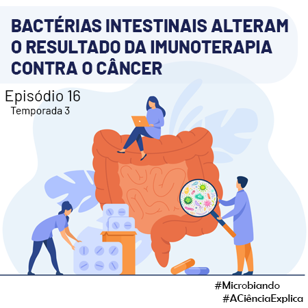 Bactérias intestinais alteram o resultado da imunoterapia contra o câncer – Microbiando