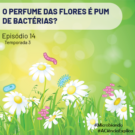 O perfume das flores é pum de bactérias? – Microbiando